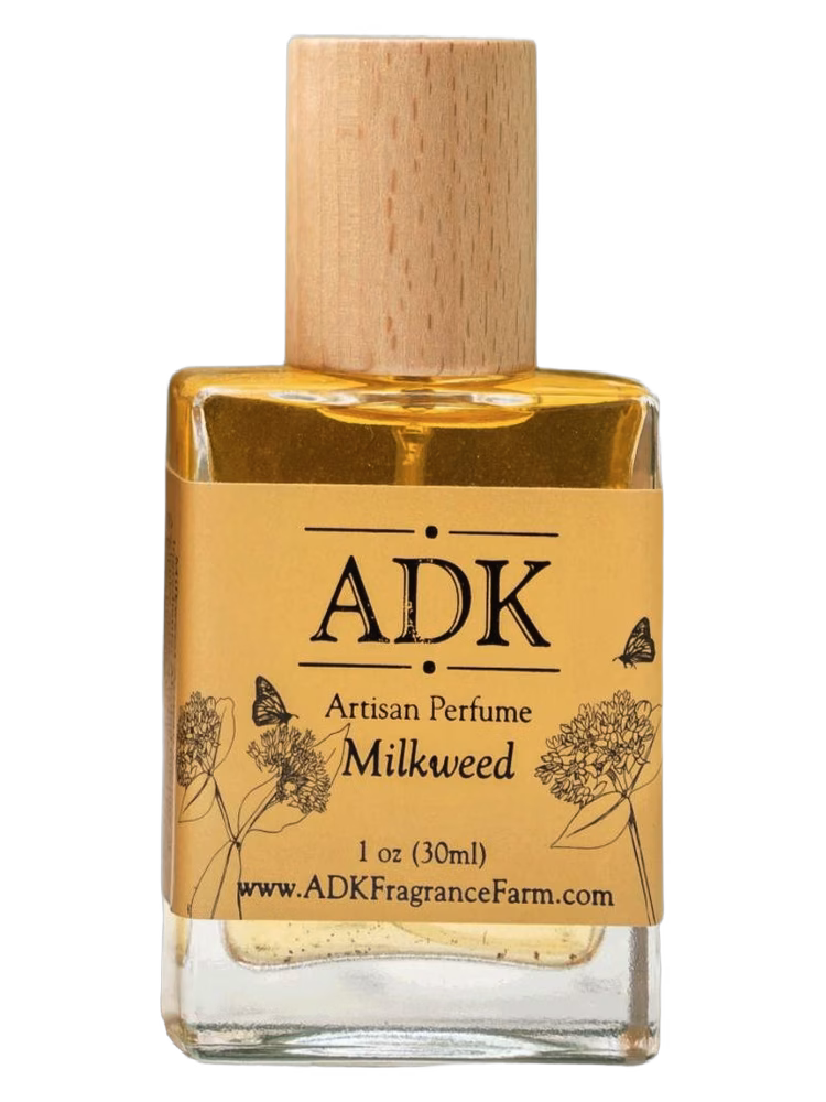 Adirondack Fragrance Milkweed Flower