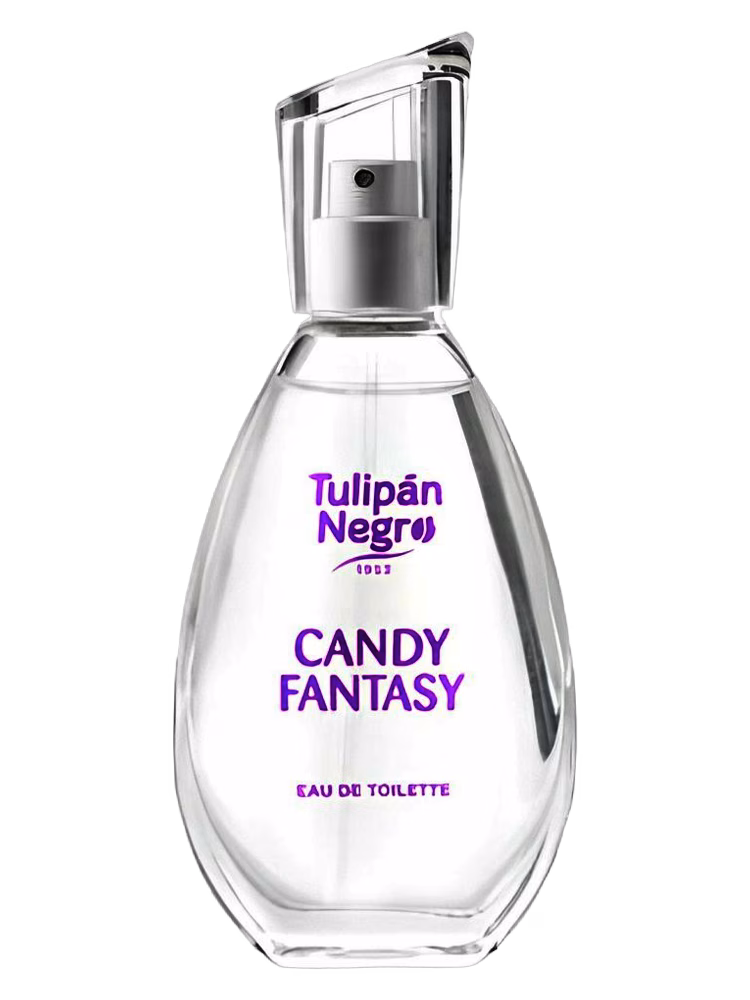 Tulipán Negro Candy Fantasy