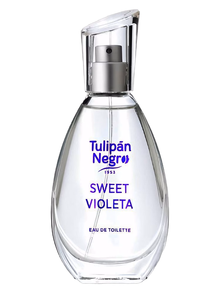 Tulipán Negro Sweet Violeta