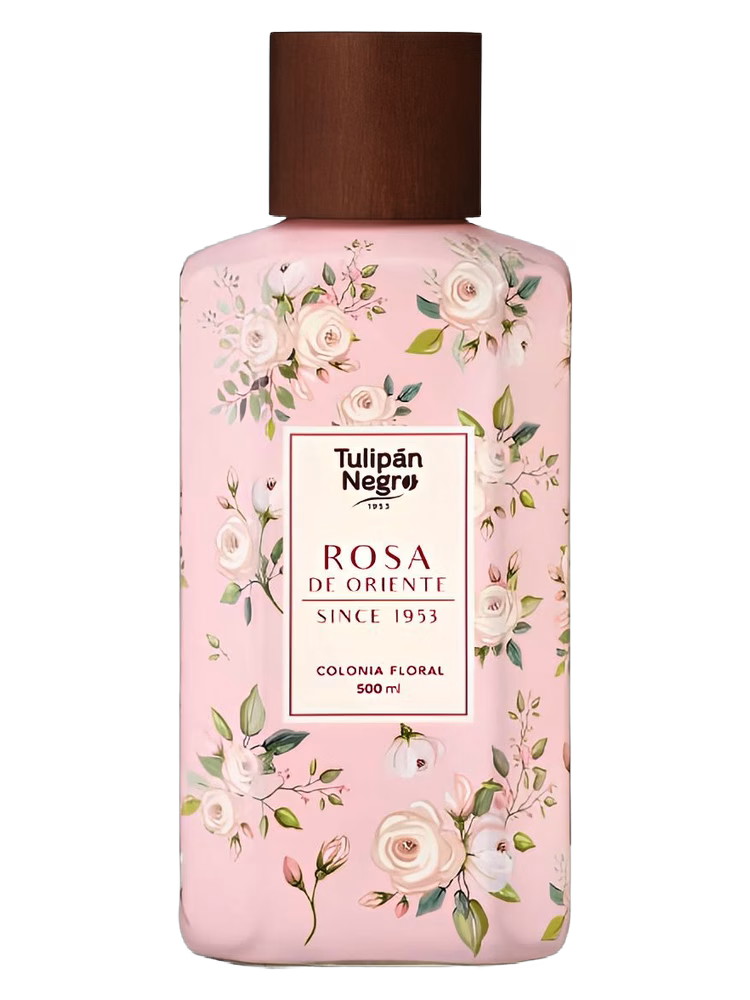 Tulipán Negro Rosa de Oriente
