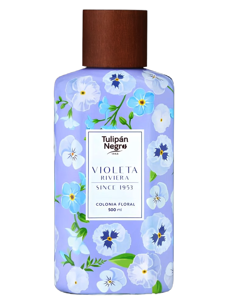 Tulipán Negro Violeta Riviera