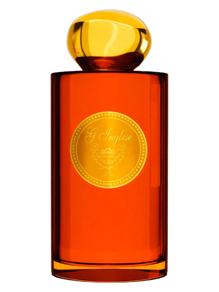 G. Inglese Odorata Ginestra