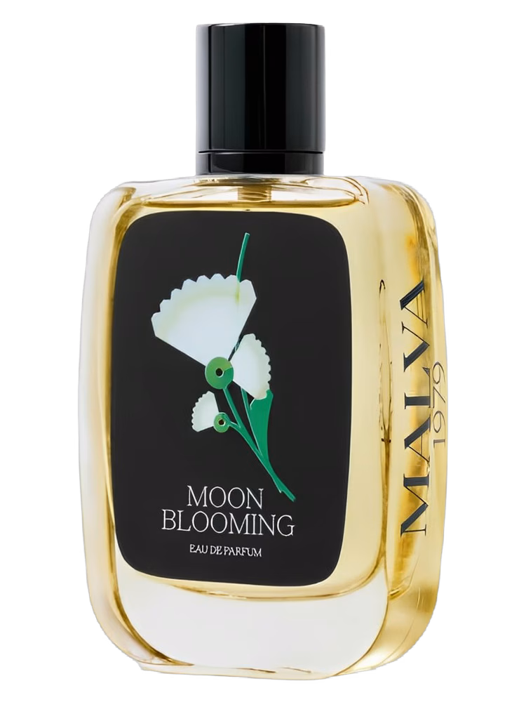 Malva 1979 Moon Blooming
