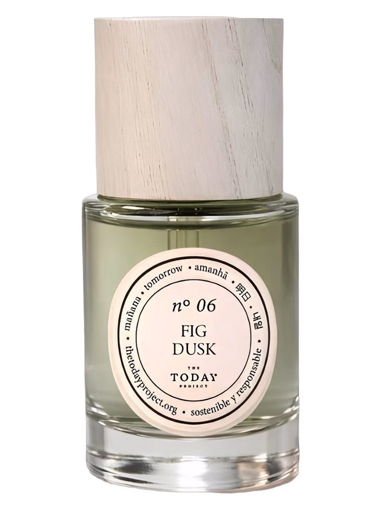 The Today Project Fig Dusk