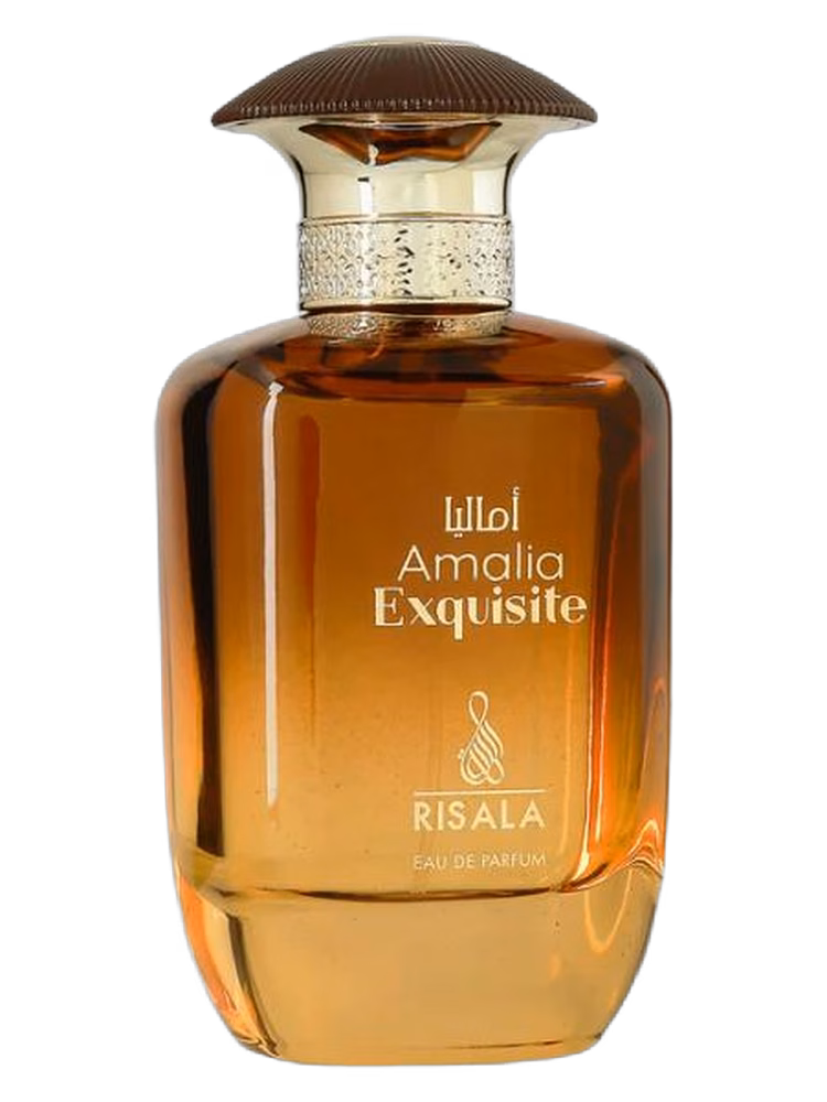 Risala Amalia Exquisite