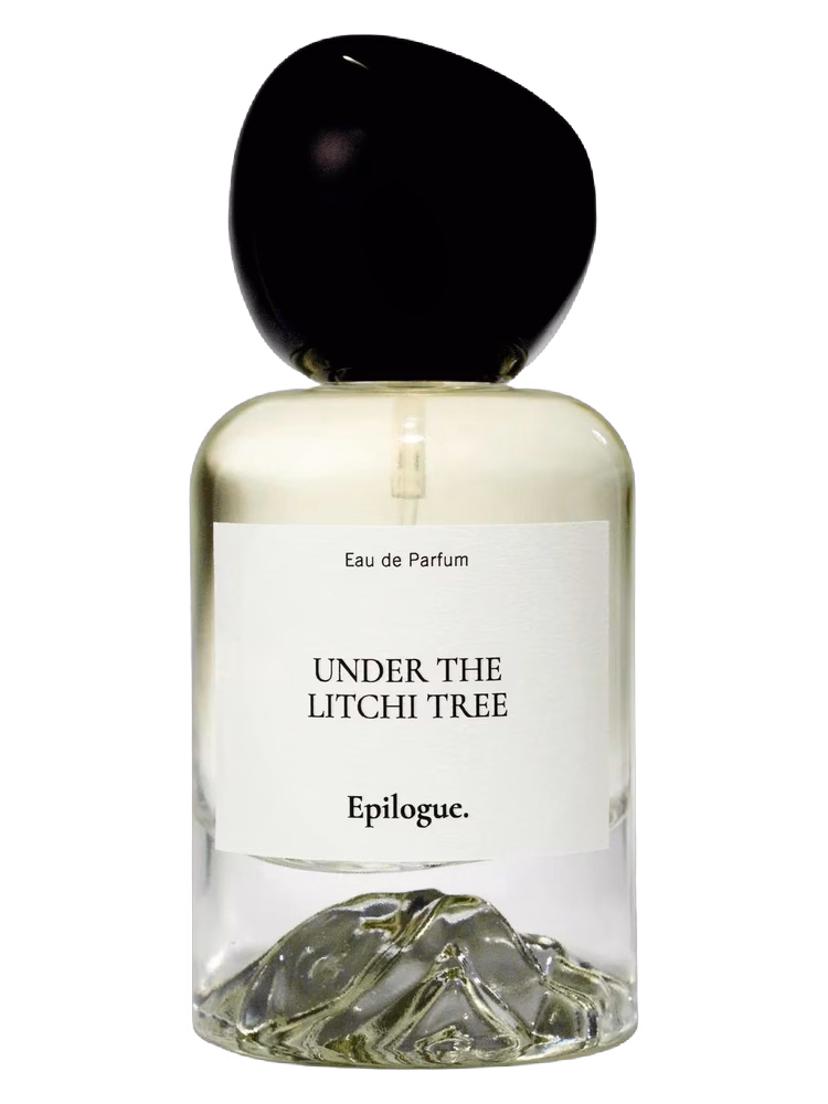 Epilogue Under the Litchi Tree