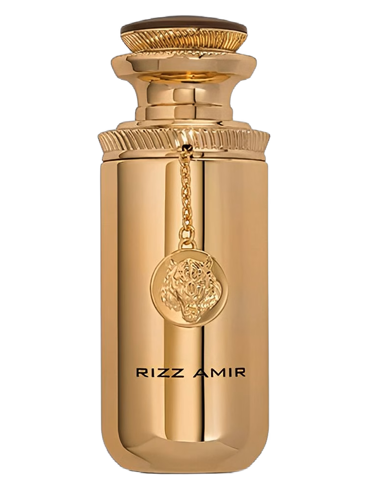 Rizz Amir