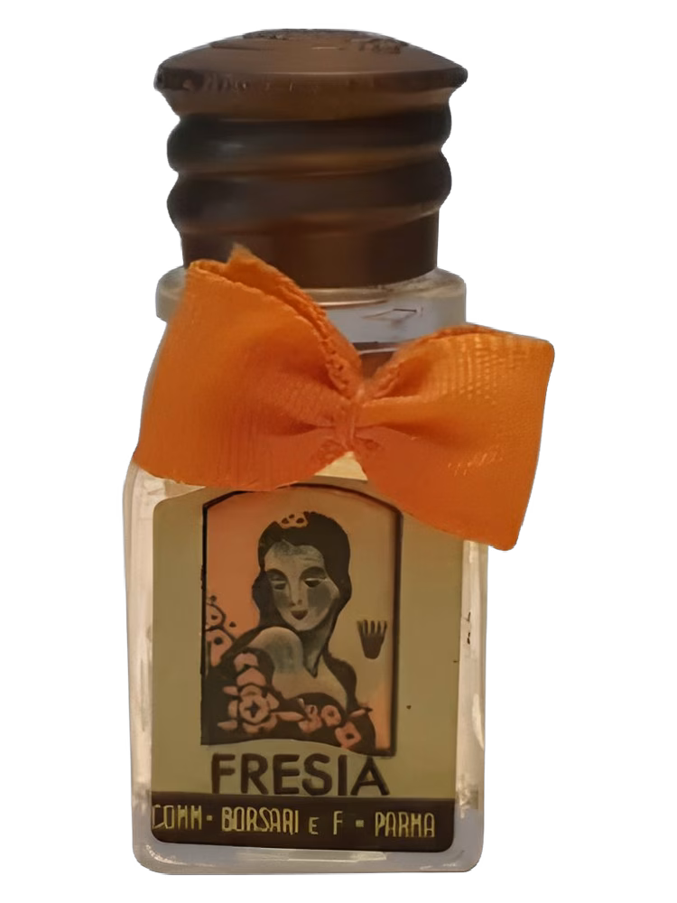 Borsari Fresia