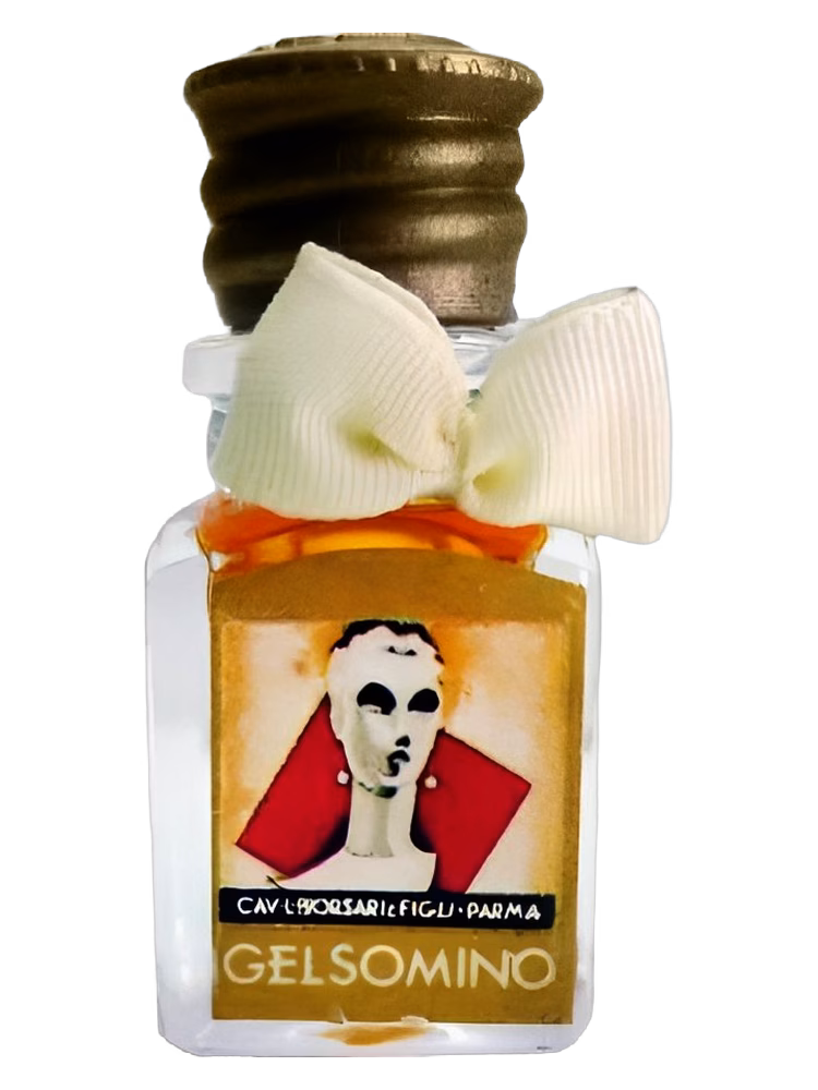Borsari Gelsomino