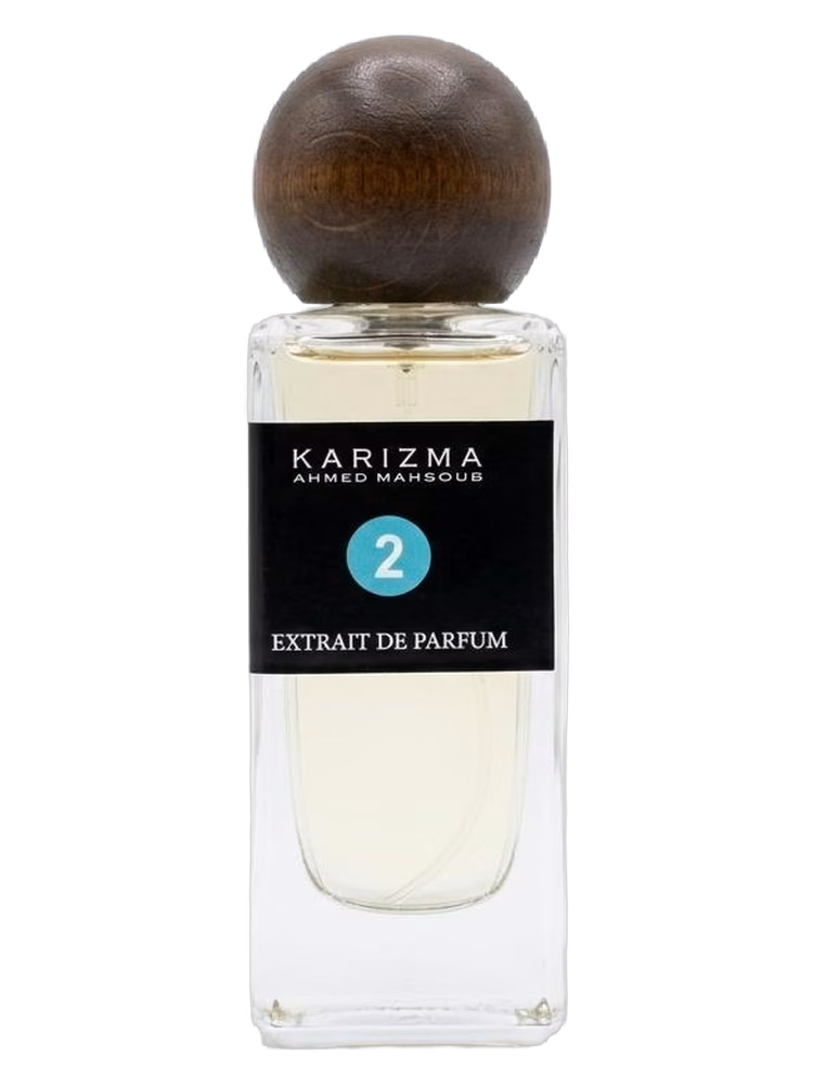 Ahmed Mahsoub KARIZMA KARIZMA 2