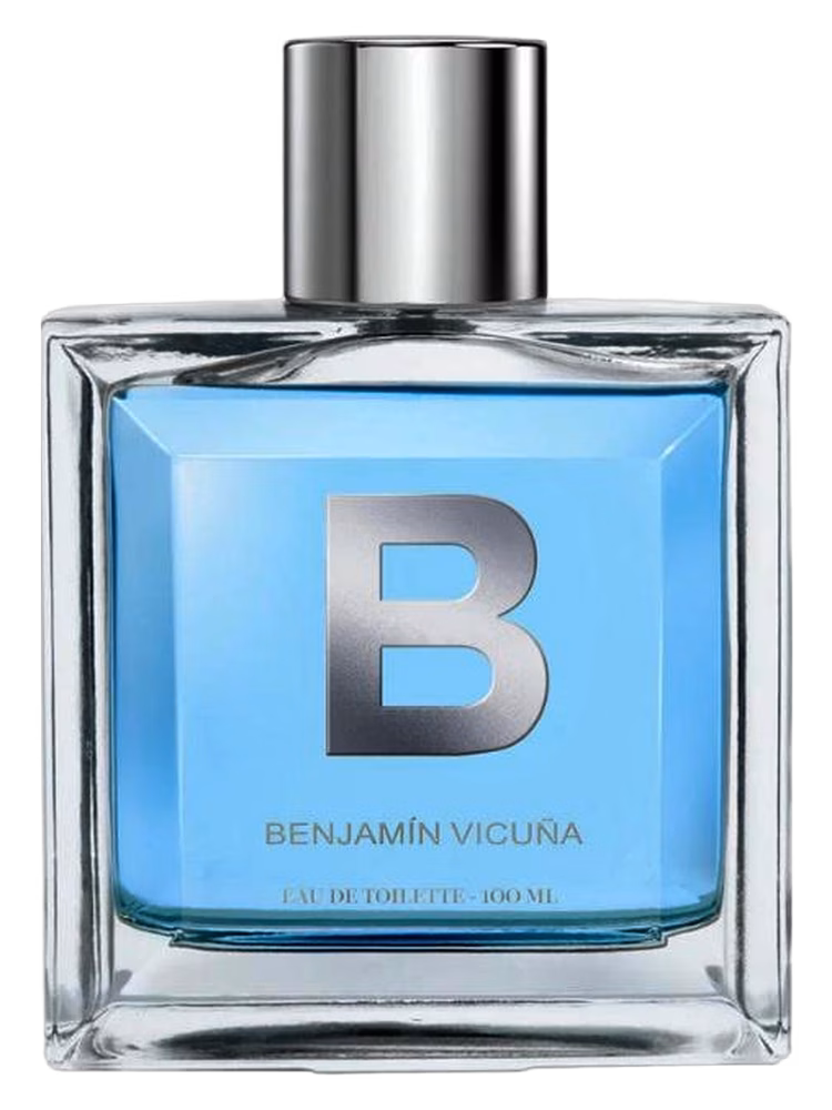 Benjamin Vicuña B