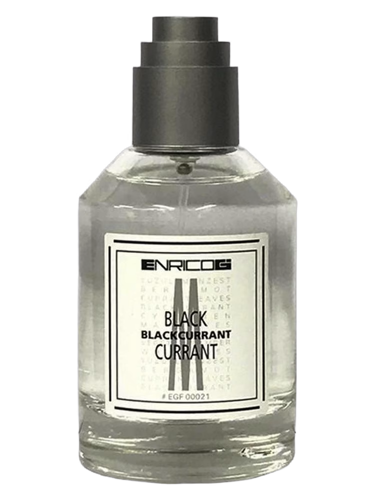 Enrico Gi Blackcurrant