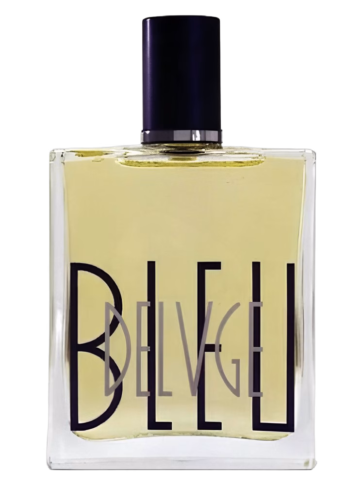Enrico Gi Bleu Delvge
