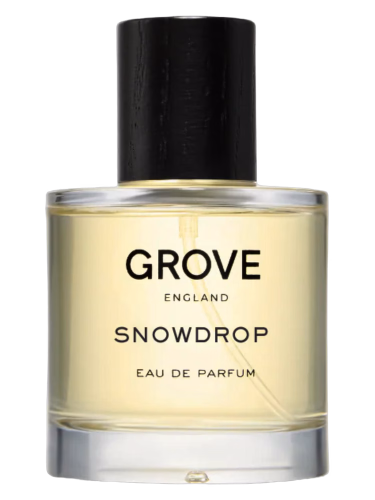 Grove England Snowdrop