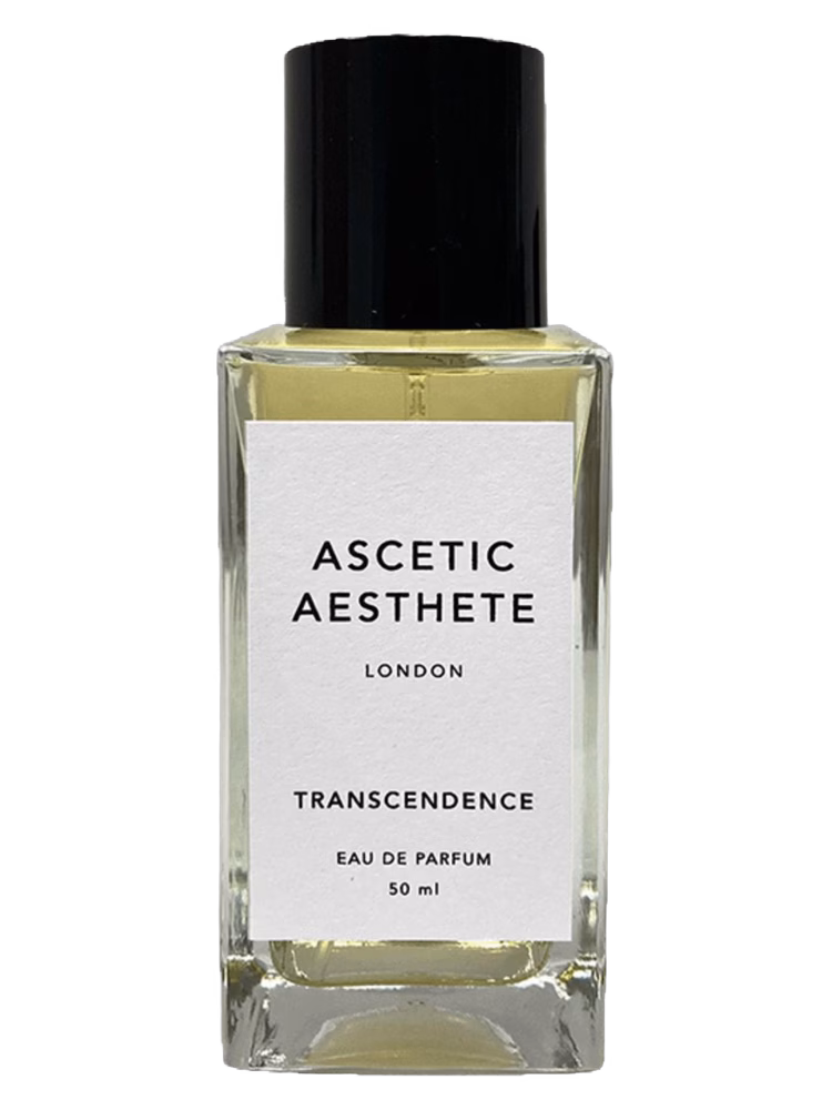 Ascetic Aesthete Transcendence