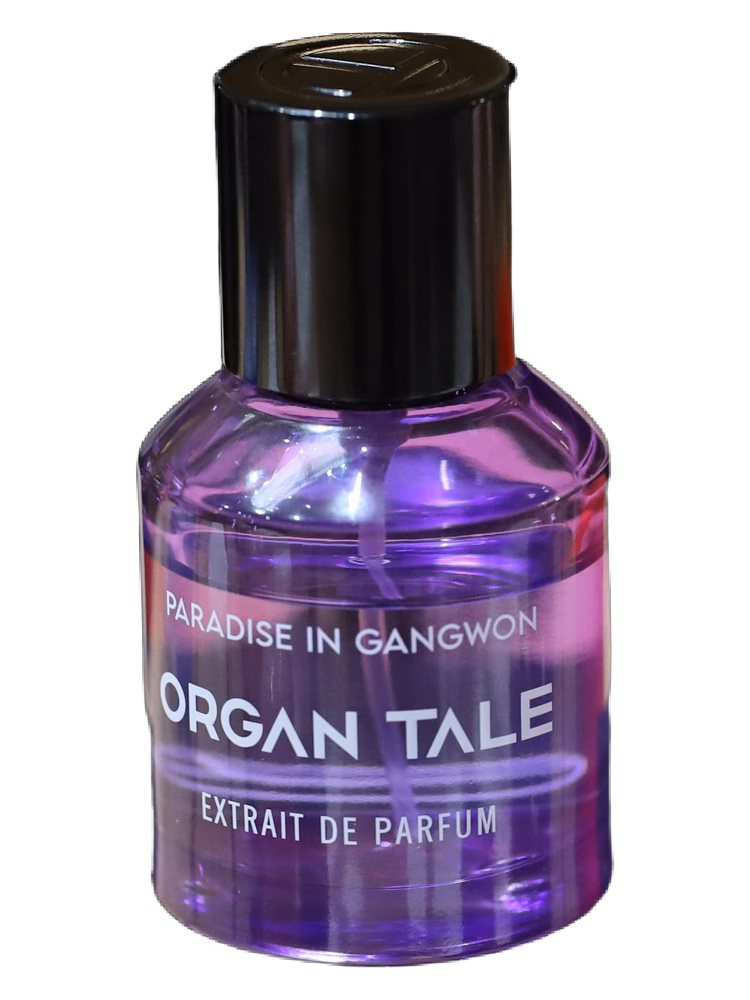 Organ Tale Paradise in Gangwon