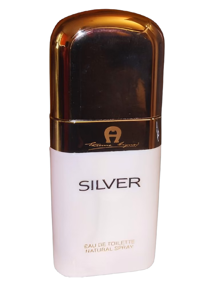 Etienne Aigner Silver