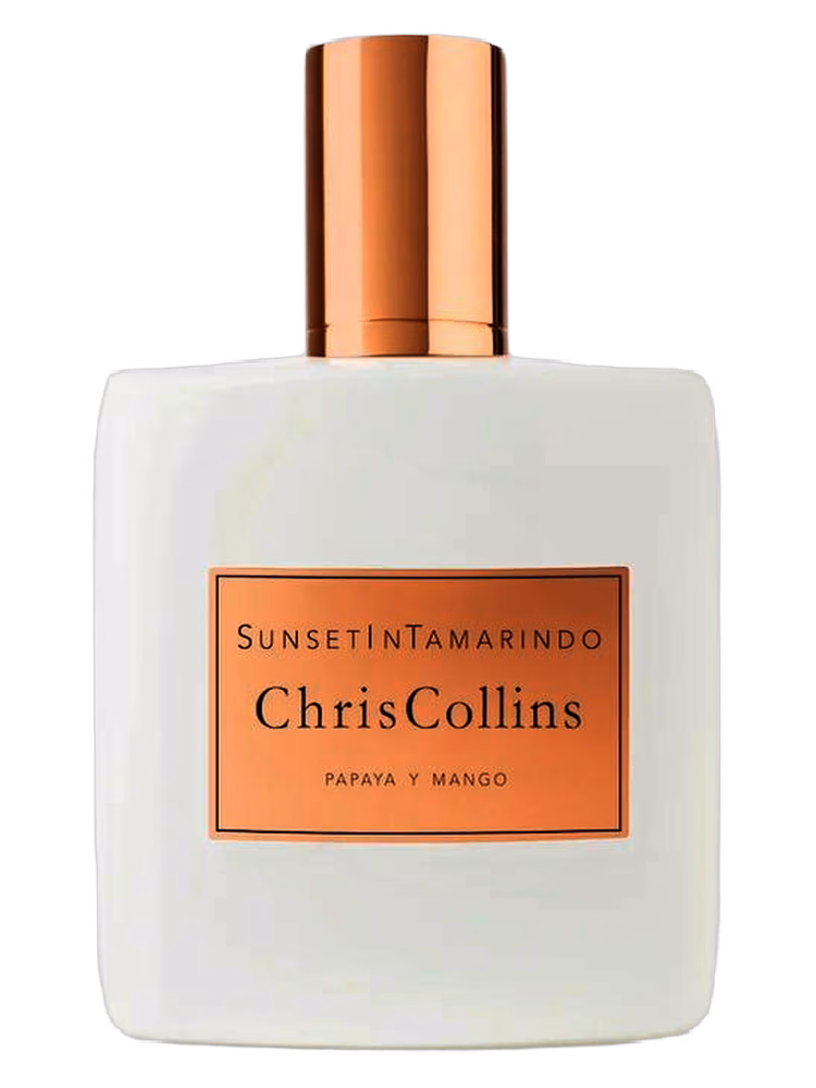 Chris Collins Sunset in Tamarindo