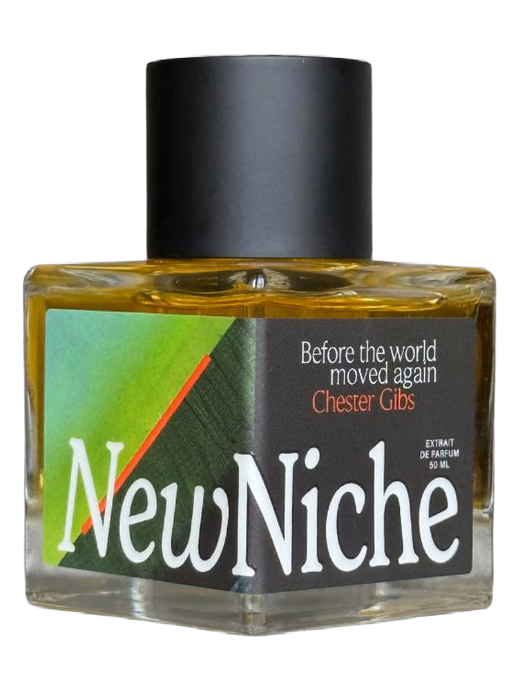 NewNiche Before the World Moved Again