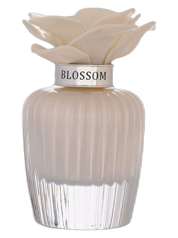 Assala Prime Nasma White Blossom