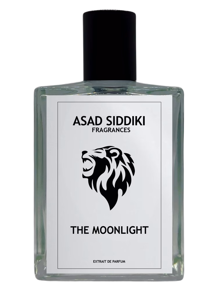 Asad Siddiki The Moonlight