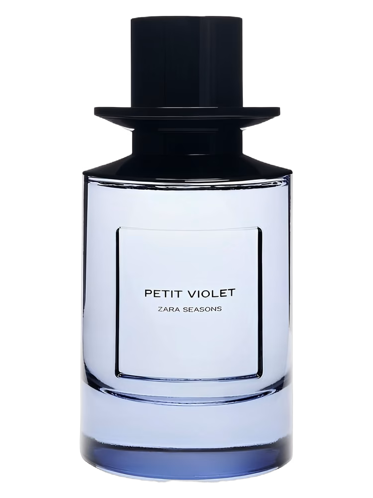 Zara Petit Violet