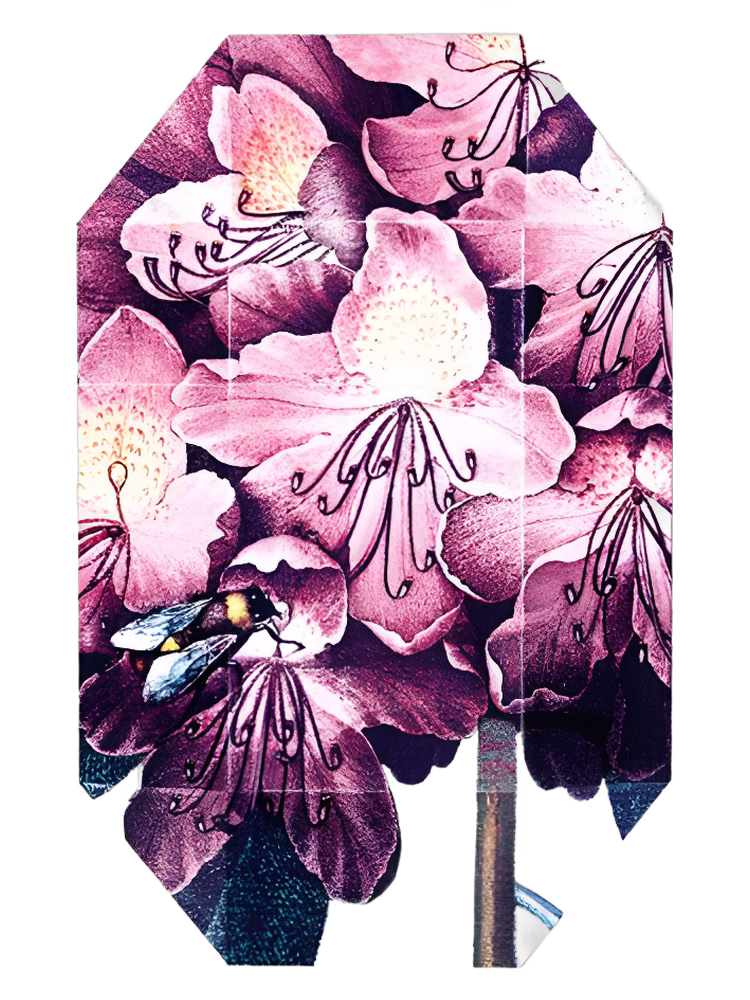 Stella McCartney Print Collection Stella 01 (2011)