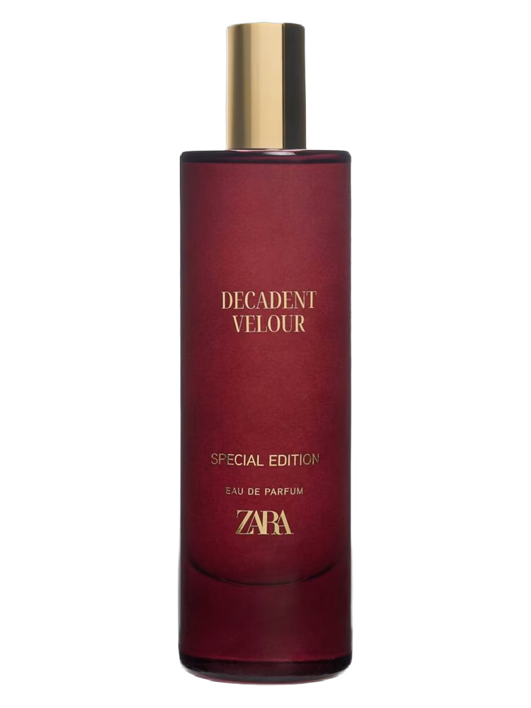 Zara Decadent Velour