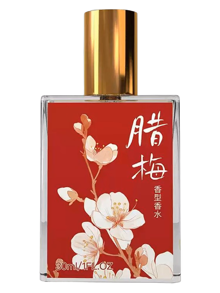 芭蕾 Ballet Wintersweet 腊梅
