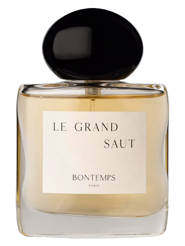 Bontemps Paris Le Grand Saut