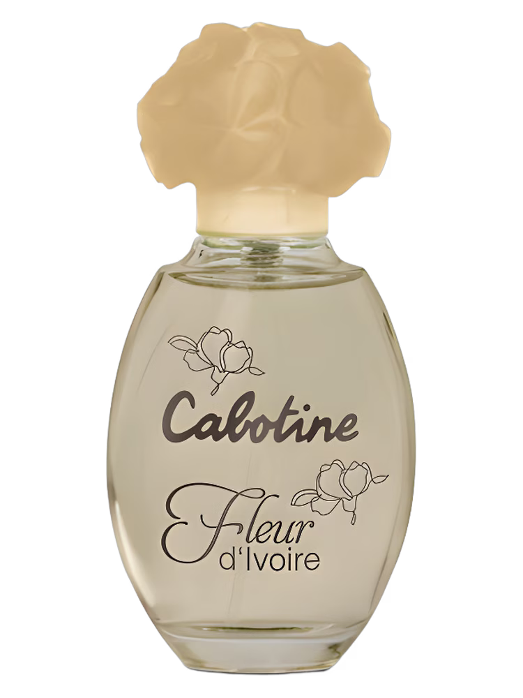 Grès Cabotine Fleur d’Ivoire