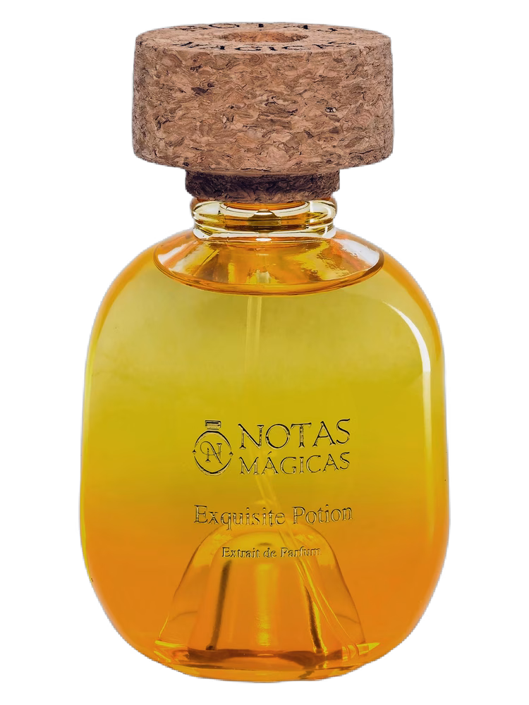 Notas Magicas Exquisite Potion