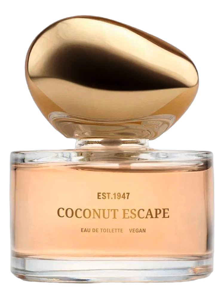 H&M Coconut Escape