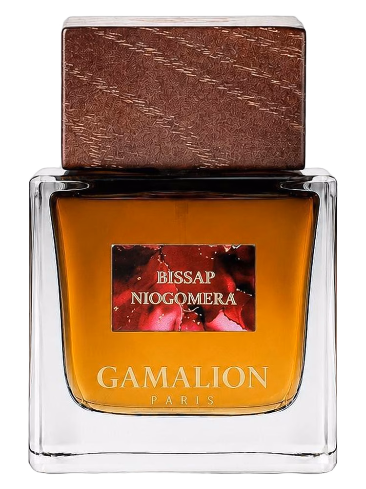 Gamalion Paris Bissap Niogomera
