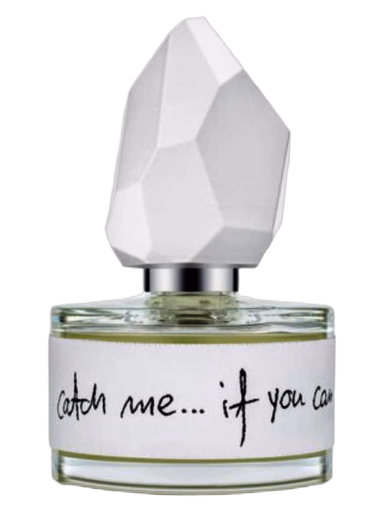 yDe Catch Me… If You Can
