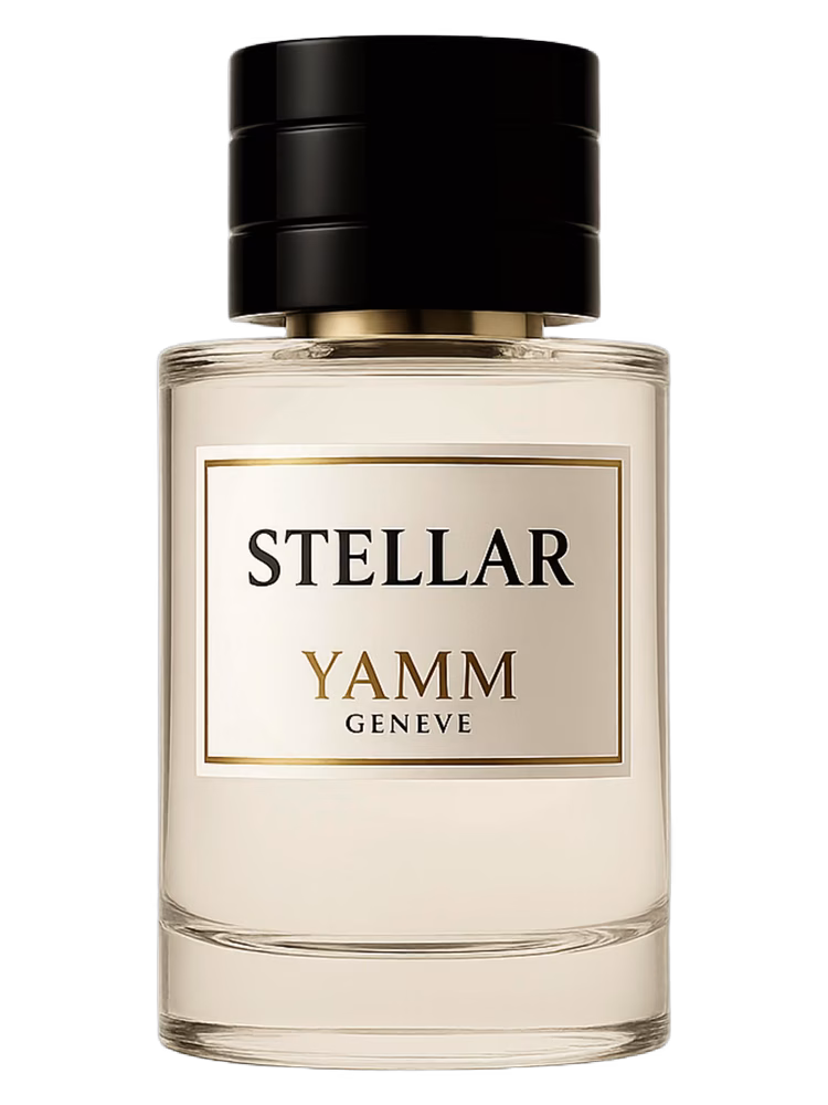 YAMM Genève Stellar
