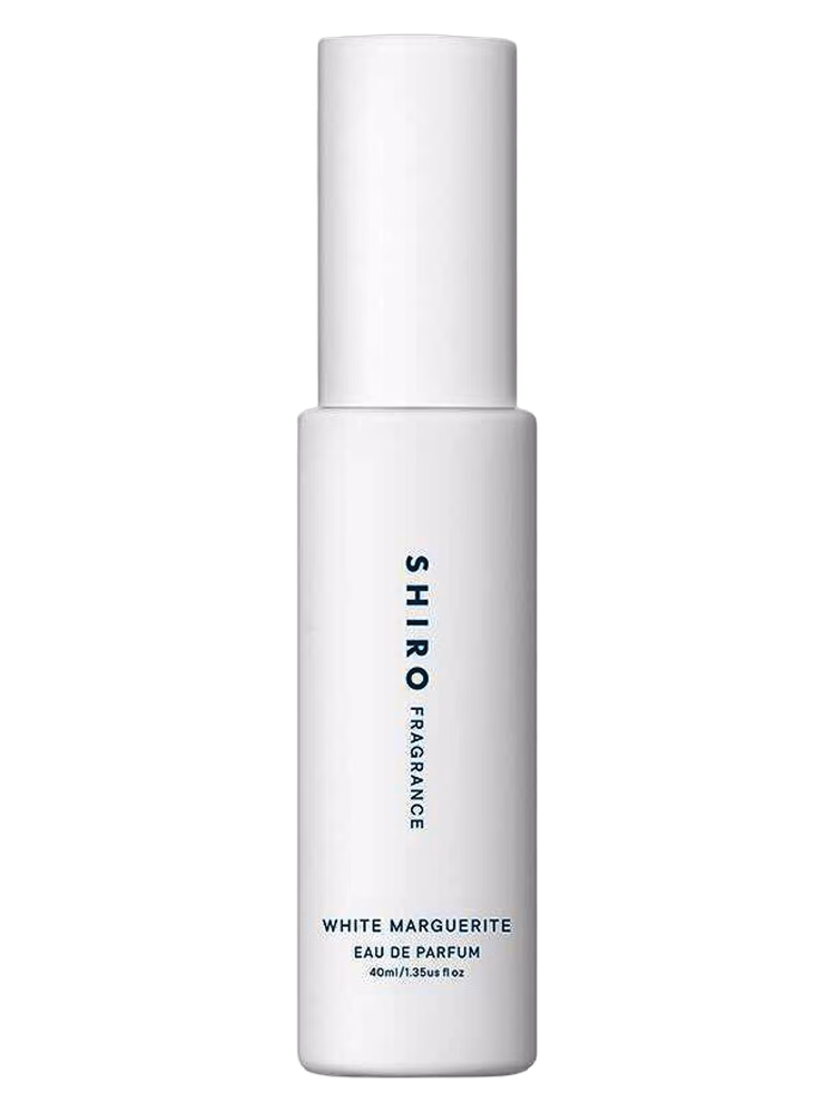 Shiro White Marguerite
