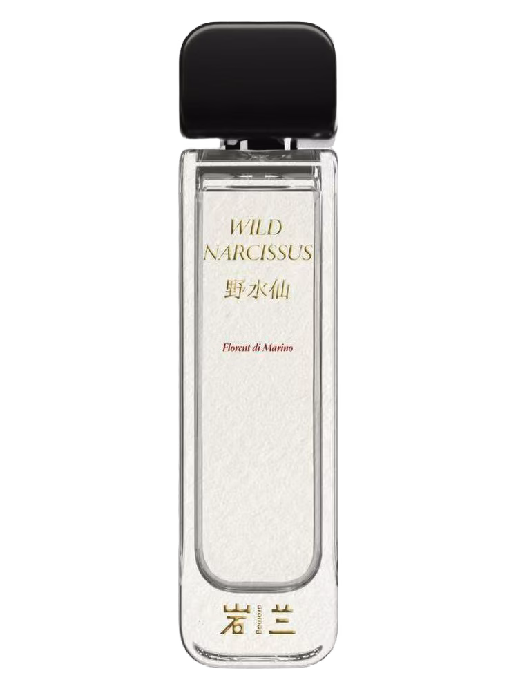 Aromag 岩兰 Wild Narcissus 野水仙