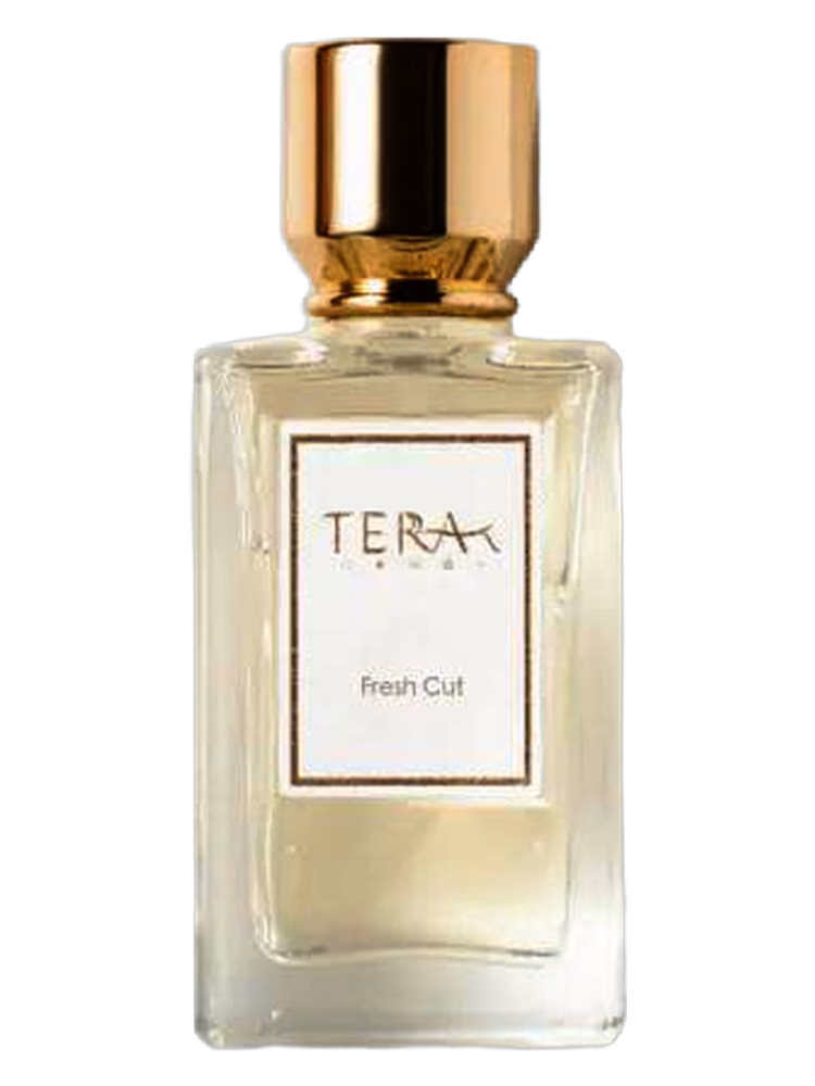 Terra·T The Fresh Cut 切新青