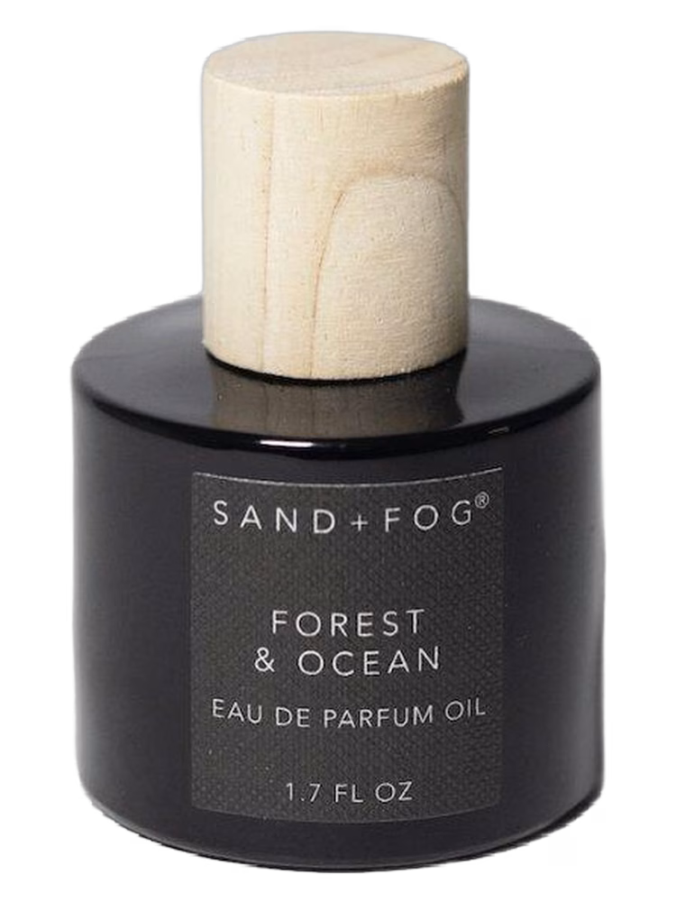 Sand + Fog Forest & Ocean