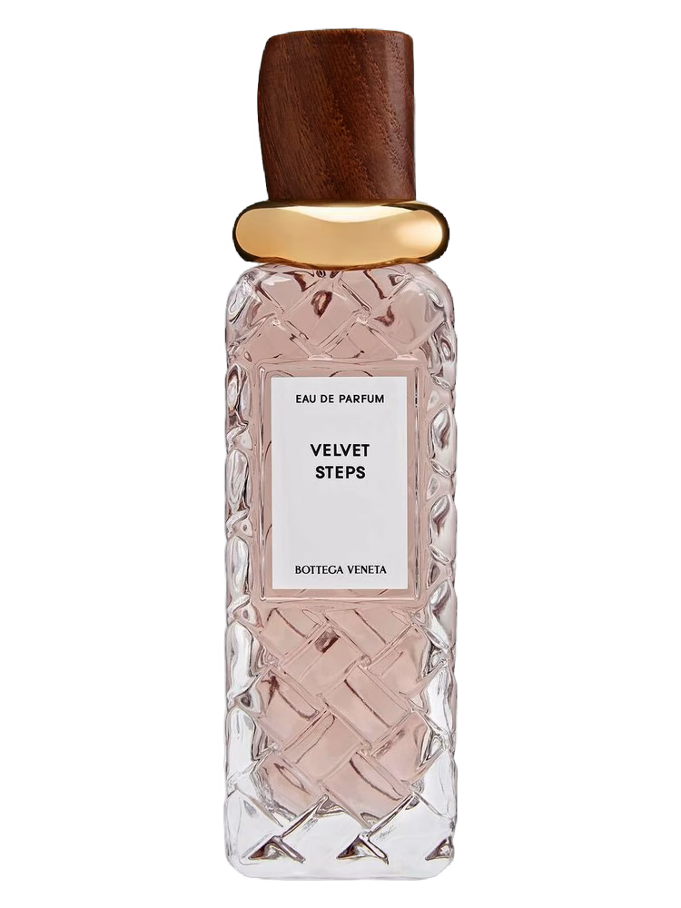 Bottega Veneta Velvet Steps