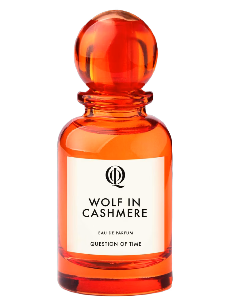 QOT - Question of Time Wolf in Cashmere