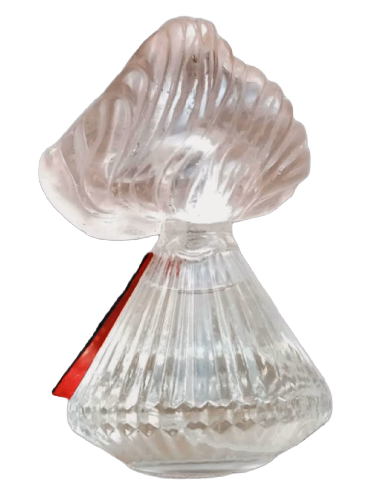 House of Atropa Shells & Wine