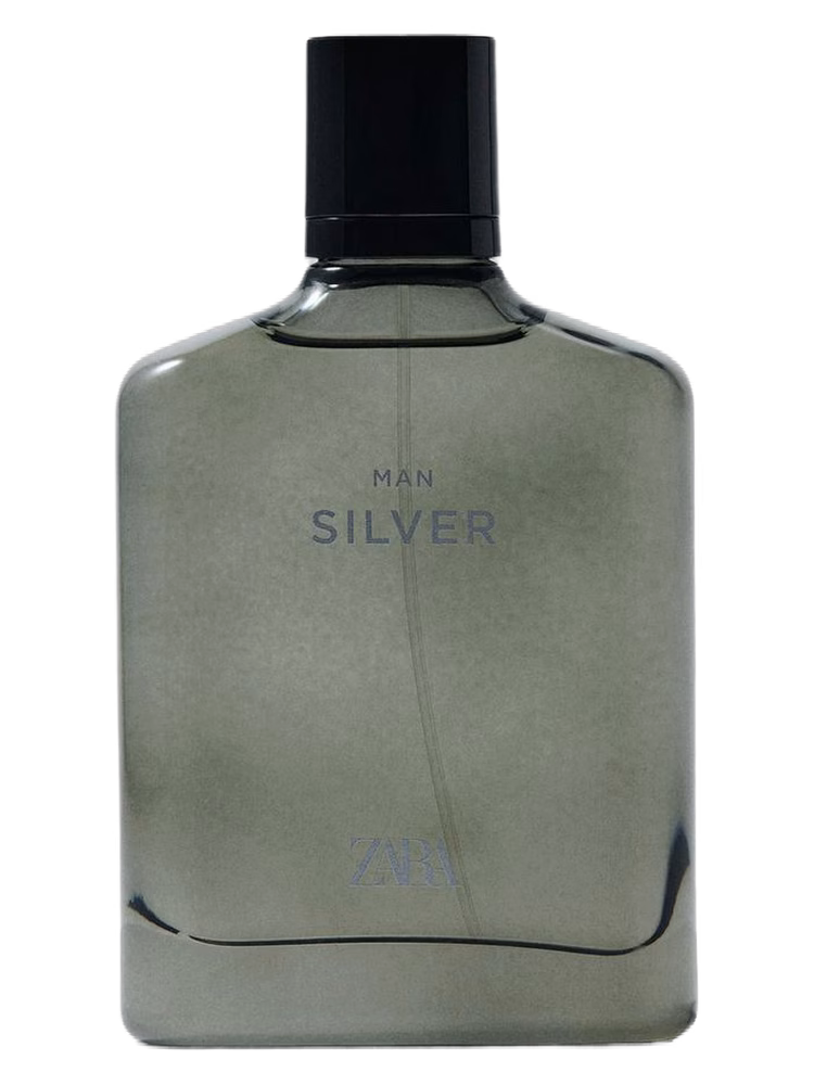 Zara Man Silver