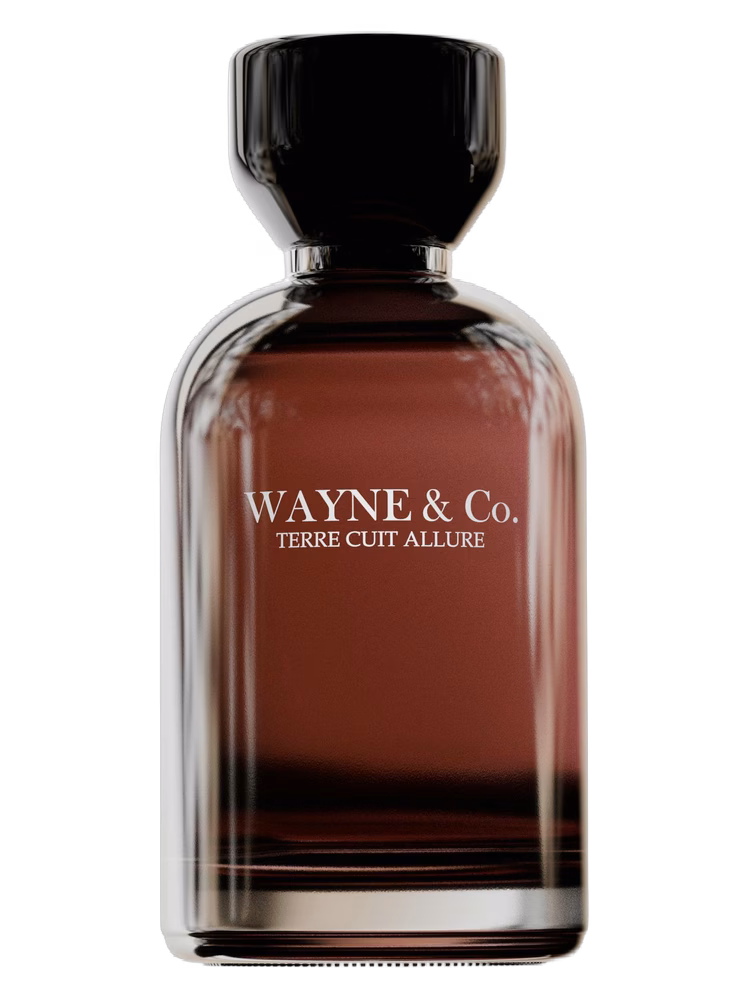 Wayne & Co Terre Cuit Allure