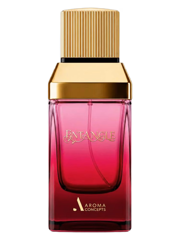 Aroma Concepts Entangle