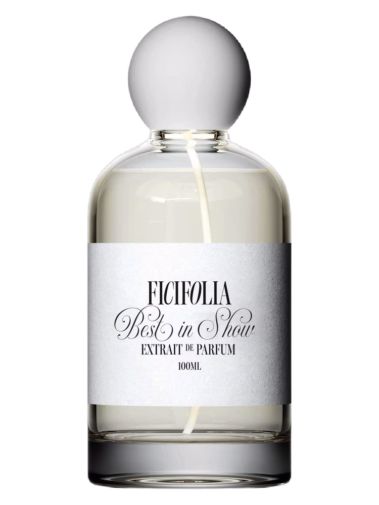 Ficifolia Fragrances Best in Show