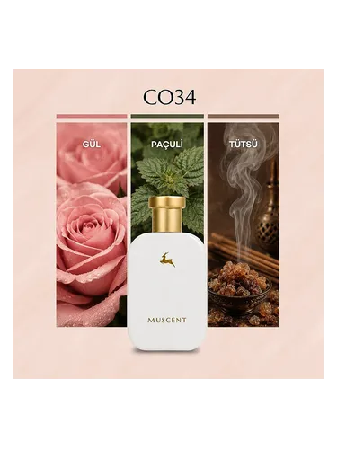 香水/フレグランス C034 Muscent 香水 - 年のユニセックス フレグランス