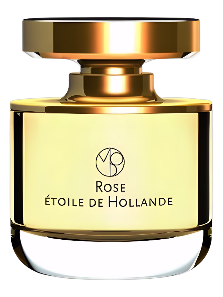 Mona di Orio Rose Etoile de Hollande