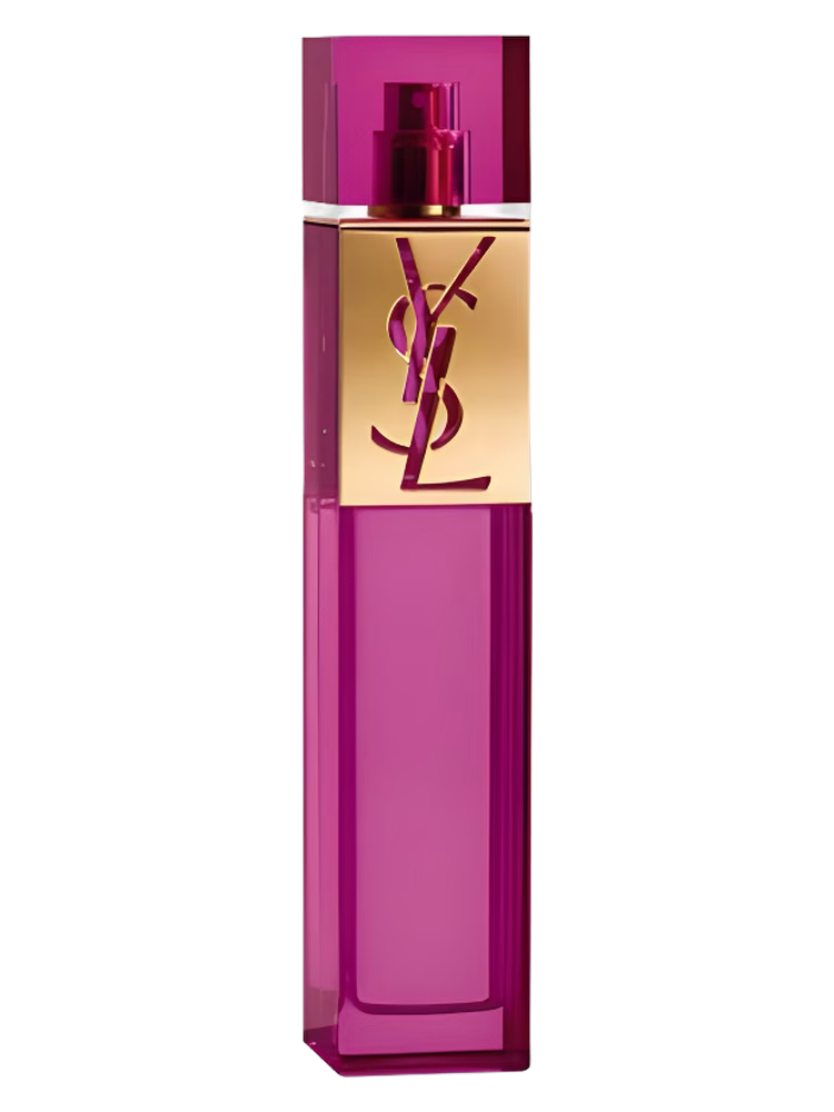 Yves Saint Laurent Elle
